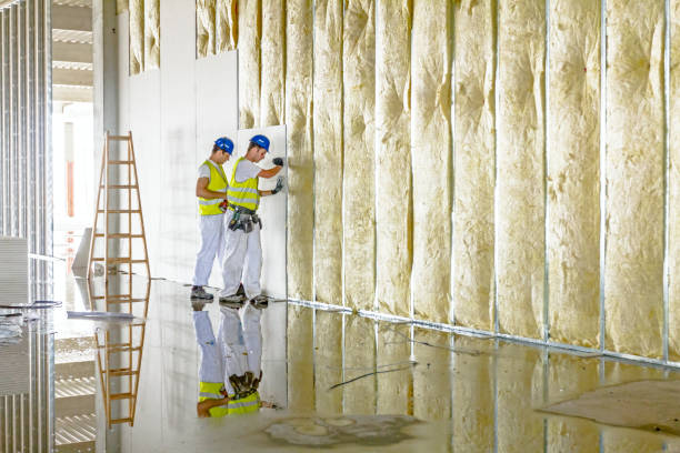 Best Eco-Friendly Insulation in Sanford, NC